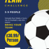 Team Challenge (5-9 People)